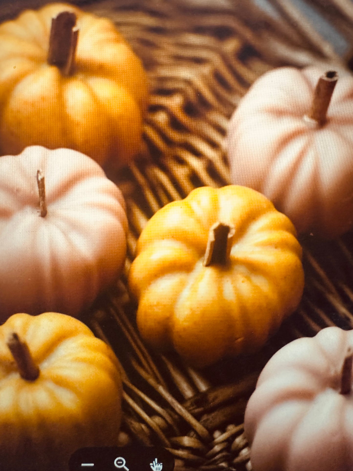 Pumpkin Soaps (Seasonal)