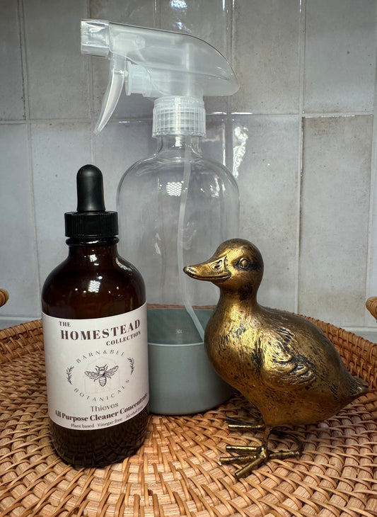 All Purpose Cleaner Plus Spray Bottle